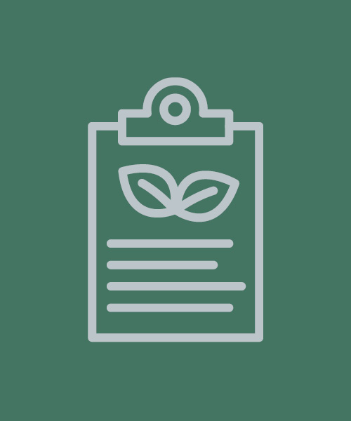 SUSTAINABILITY GOVERNANCE & TRANSFORMATION