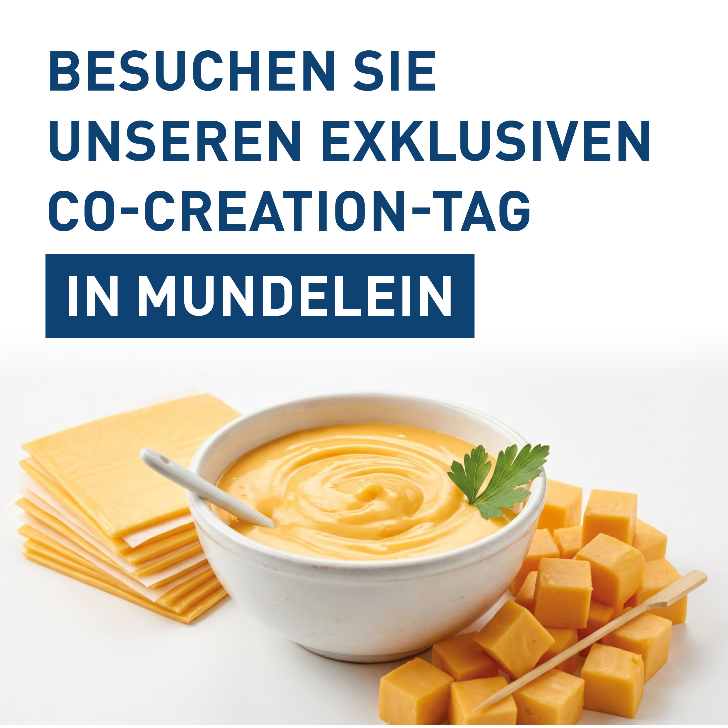 CO-CREATION-TAG IN MUNDELEIN