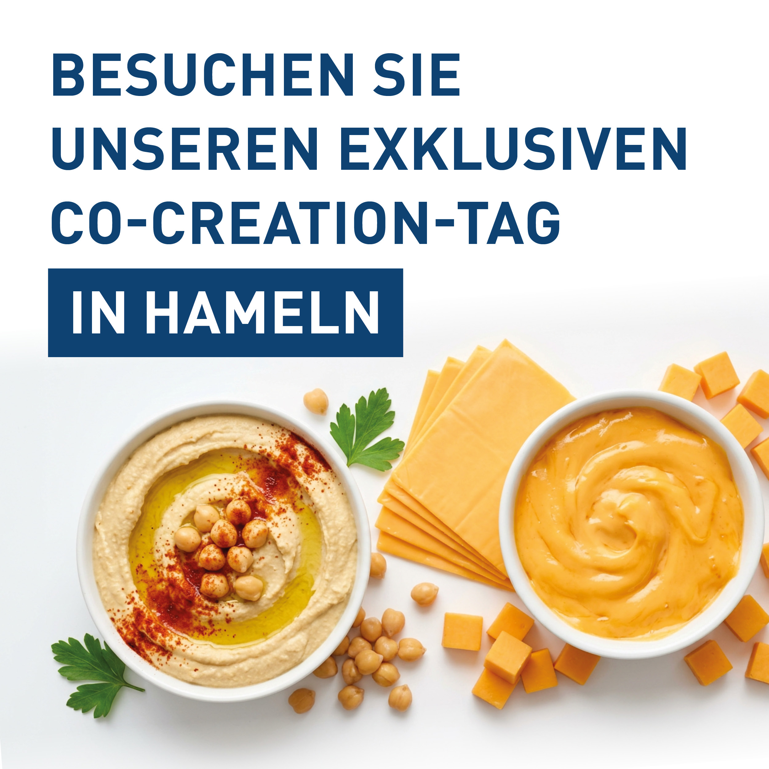 CO-CREATION-TAG IN HAMELN