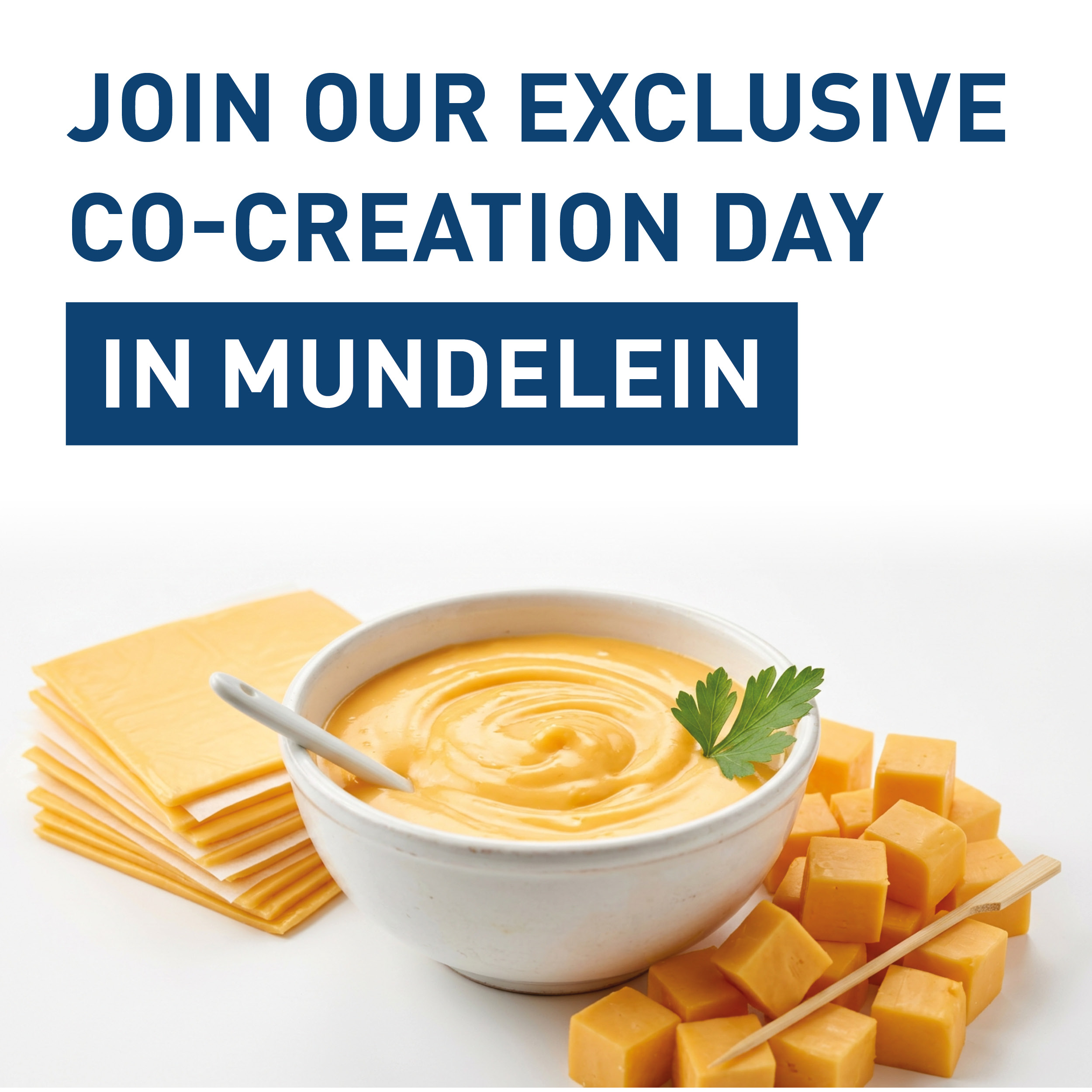 CO-CREATION DAY HAMELN
